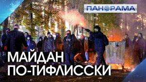 «Революция «розовых шипов»: как сильно Грузия хочет повторить судьбу бывшей Украины?