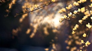 Интересный разговор - Разговор наедине...