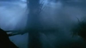 "Нохчо ву со.."