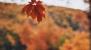 Душевные истории - Как мудрость и жизненный опыт бабушки приносят радость каждого дня...