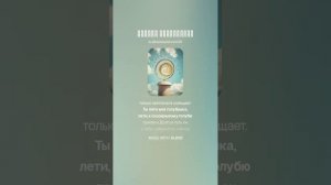 Голубь сизокрылый (1)