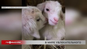 "По весточке": в мире увлекательного