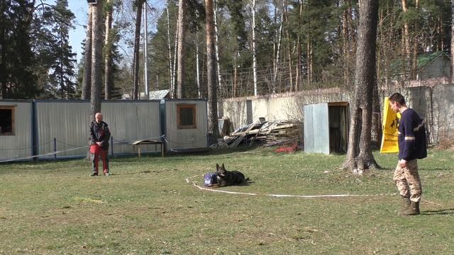 Чемпионат Московской области 2017 г. по ОКД и ЗКС (ЗКС). смотреть онлайн