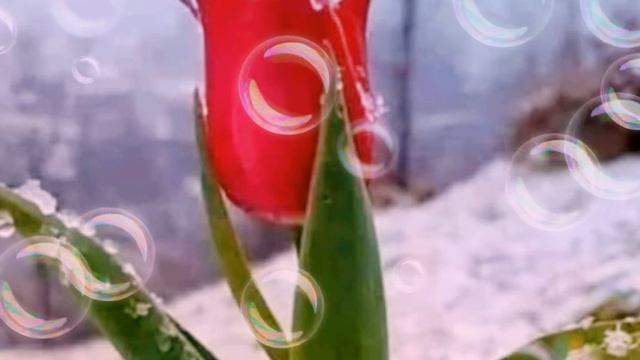 Yüreğinde Tamamlanan Şiir - "Korhan Aydın" смотреть онлайн