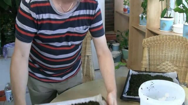 Сборный чай из Черной смородины, малины ,вишни ,клубники ,мелисы ,мяты ,кипрея ,лимона=Всё про чай смотреть онлайн