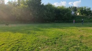 Dynamic Cup #2 Ob2, Алёна Маркина и Марта, часть 2