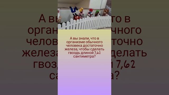 Сколько в нас железа? 🤗🔩🔨