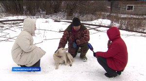 "Вести" узнали, что стало с собакой Белкой, которая 4 дня ждала утонувшего хозяина в Башкирии