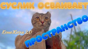 Суслик осваивает пространство