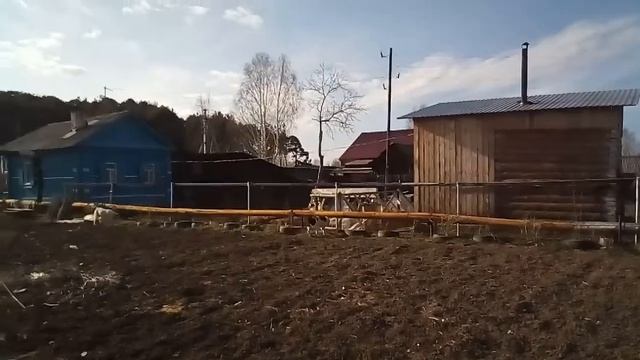 СОБАКИ ДЛЯ ОХРАНЫ И ДУШИ. смотреть онлайн