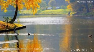 695 О выздоровлении 26.05.2023 г.