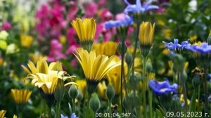 686.1. День победы 09.05.2023 г