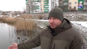 Перезимуют без потерь
