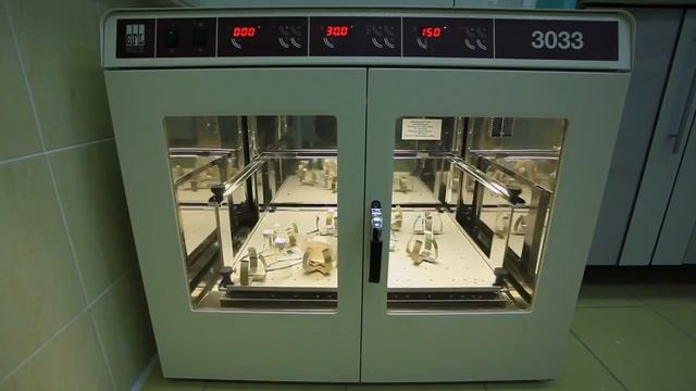 СПБГУ смотреть онлайн