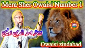 Barrister Asaduddin owaisi | par new nazam |Mera sher owaisi Number one | Mim Asaduddin owaisi