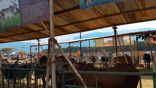 7 Days Inside Isha Yoga Centre || Adiyogi-  Dhyanlingam - Sadhguru Meet || classical हठ योग