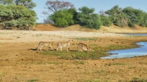 Намибия  — живописный расслабляющий фильм с успокаивающей музыкой!...