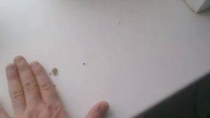 эффект полостных структур 2