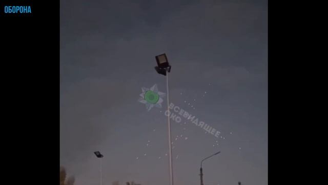 Цветёт Герань