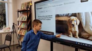 Творите с Шедеврумом