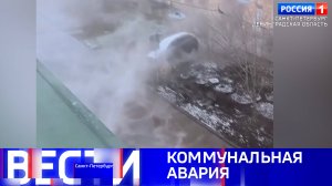 Вести Санкт-Петербург. Выпуск 09:30 от 05.12.2024