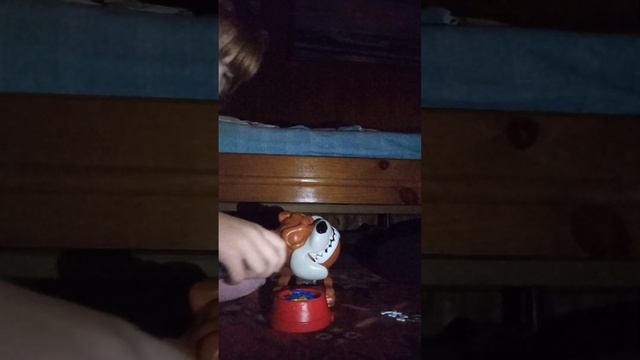 Привет всем и мы играем в злую собаку лайкните видео зайки🥰🥰🥰😀 смотреть онлайн