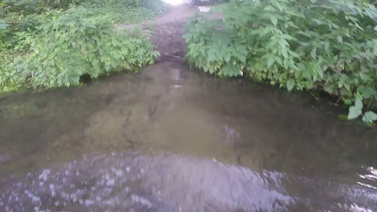 ДОН_река