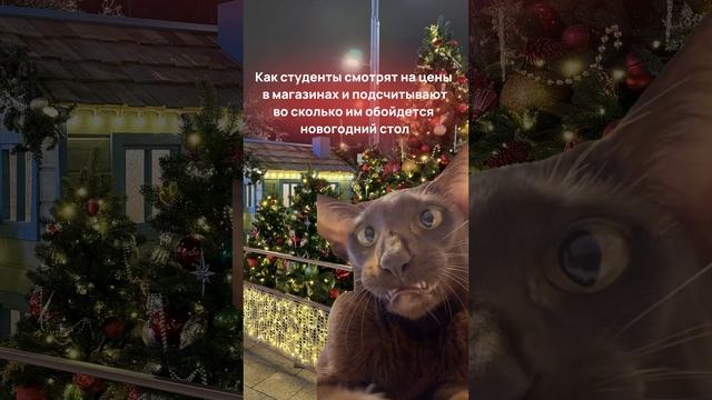 Новогодний стол студента