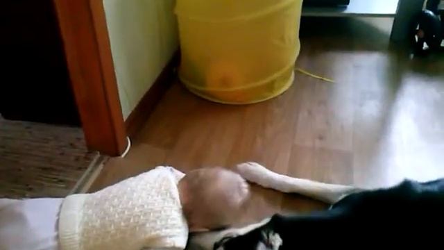 мои маленькие девочки