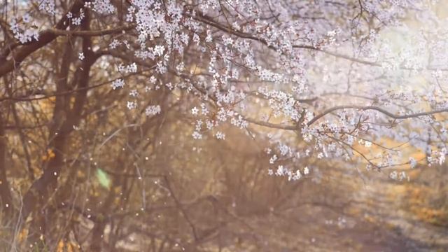 Любовные истории. Клубника бывает горькой (часть 2) ... смотреть онлайн