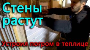 Жесткое пасынкование. Появляются стены С_У.