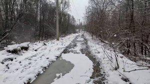 Снова утром еду на собеседование на Мебельную Фабрику в Хметьево.Зачем?Что предложили в этот раз?