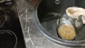 Чайный гриб