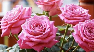 Открытки с хорошим добрым днем - Доброго Дня