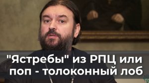 "Ястребы" из РПЦ или поп - толоконный лоб