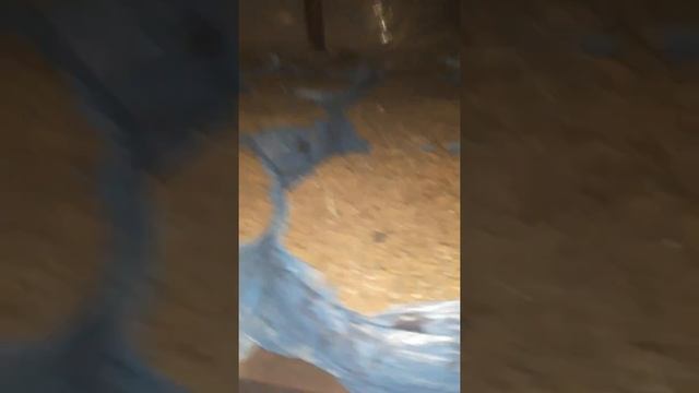 Свой компост и своя покровка