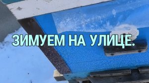 ЗИМОВКА ПЧЁЛ НА УЛИЦЕ.ПЛАНЫ НА СЛЕДУЮЩИЙ СЕЗОН.