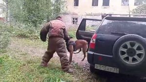 малинуа в работе 🔥