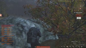 Арахниды повсюду