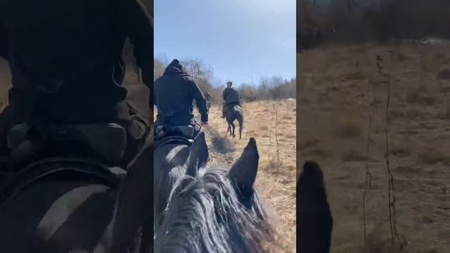 Прогулка по Горам Кабардино-Балкарии! смотреть онлайн