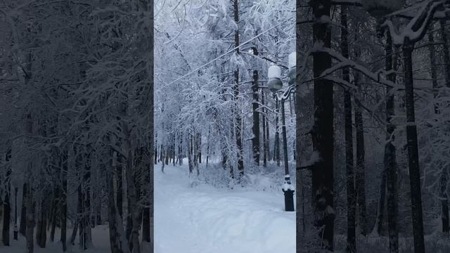 СКАЗОЧНАЯ ЗИМА#КОЛЫМА#ЯГОДНОЕ