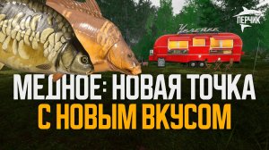 700-800 серебра в час. Новая точка на Медном ● Русская рыбалка 4 ● Перчик РР4