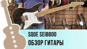 SQOE SEIB800 - обзор гитары