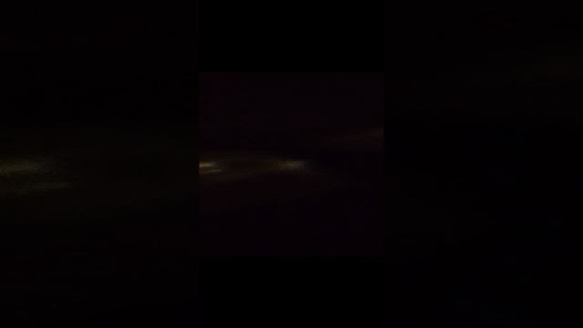наши новые рыбки, но ещё совсем маленькие