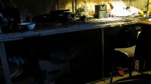 13.04.04 Такса Люська (Пэнонка) шарится по столам