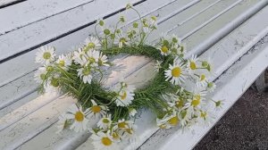 © Летняя зарисовка. 09.07.2024