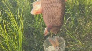 2023 год Август. Большой Кумикуш. 27