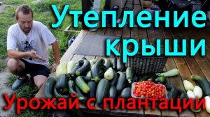 Утепление кровли, думали справиться за один день, а получилось... Собираем урожай с плантации.