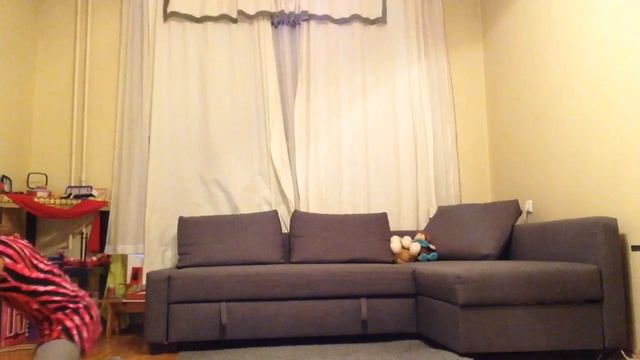 Непослушная кошка 1серия     #жизньдомашнихживотных