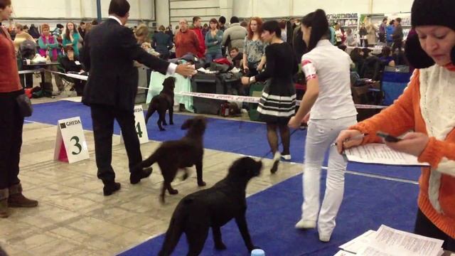 IMG 0735 смотреть онлайн